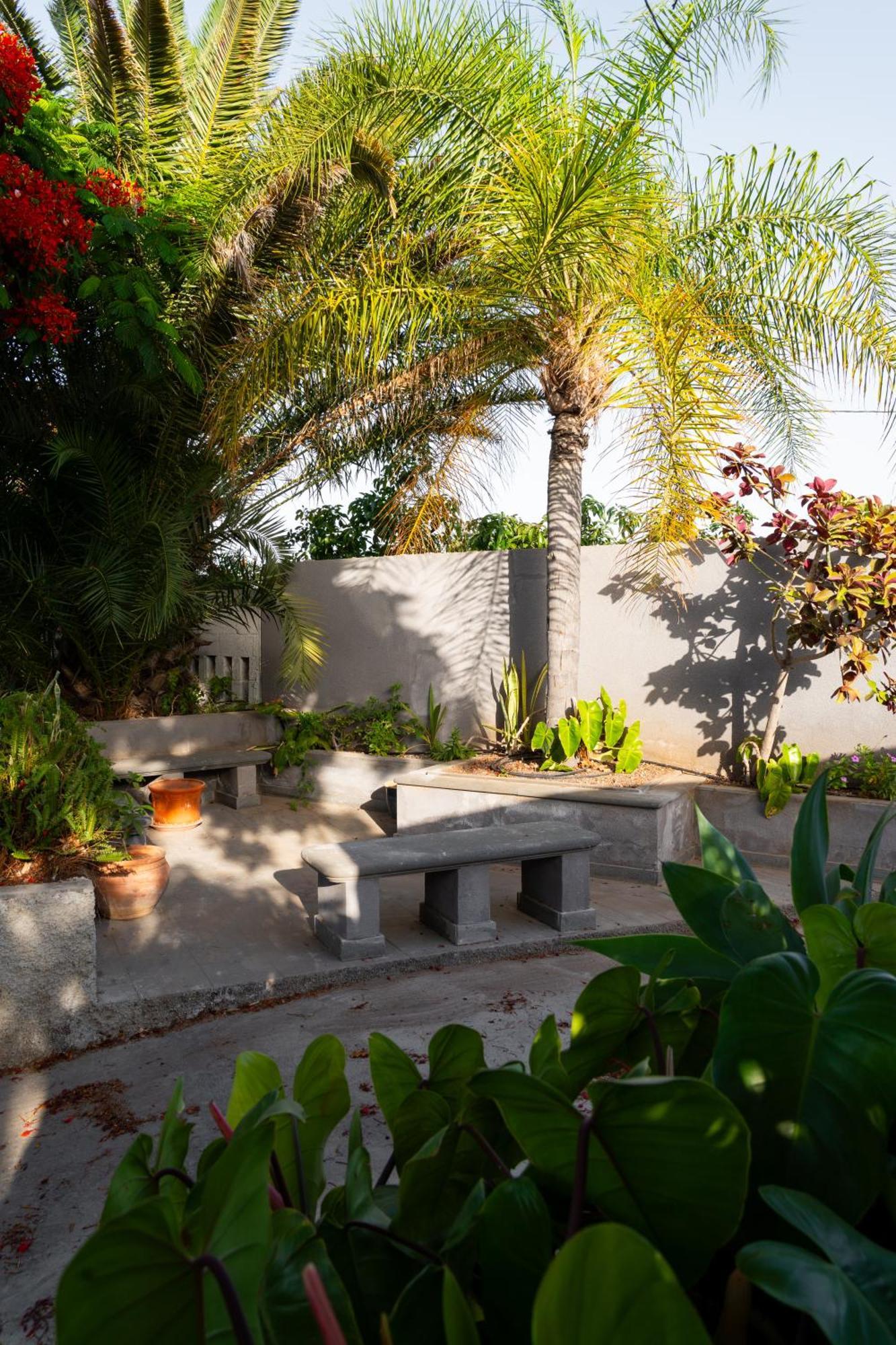 Finca La Pampa Arafo 外观 照片